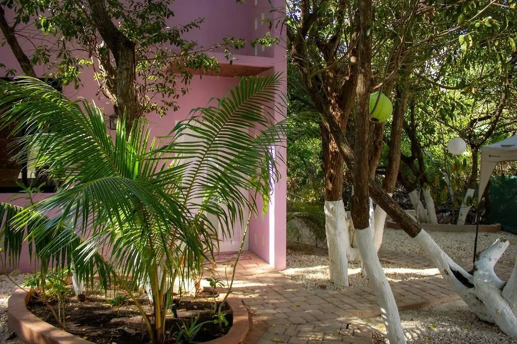 فيلا Casa Rosse تولوم المكسيك